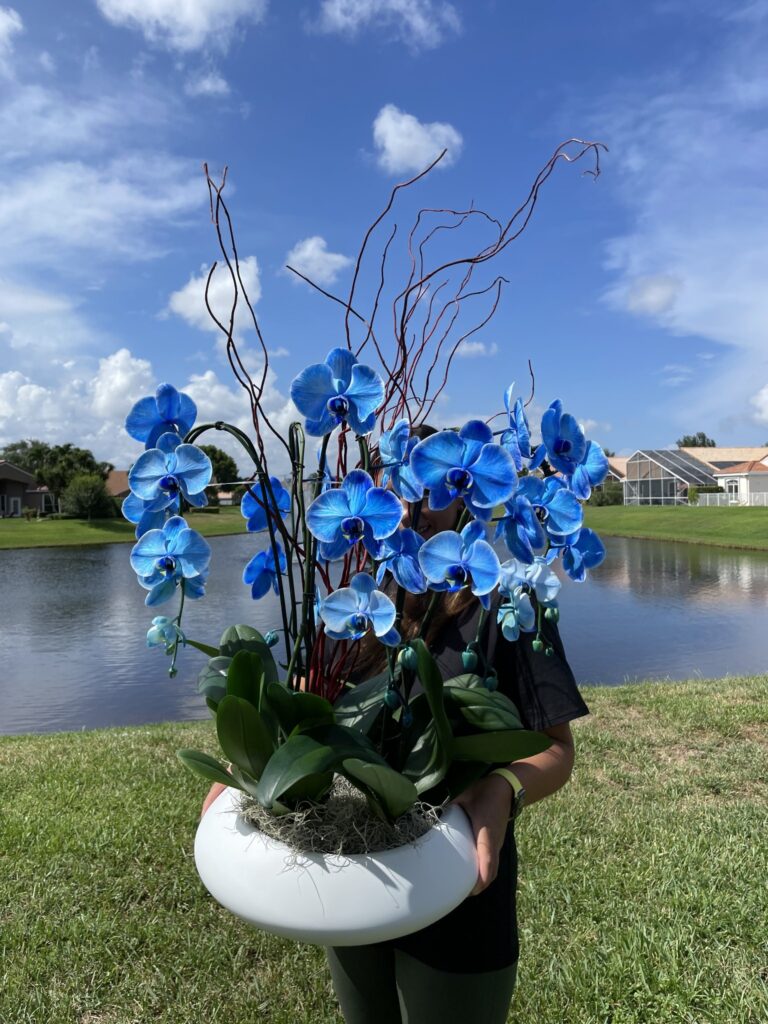 Blue orchids arrangement(1)