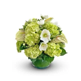 Green-Haven orchids fort lauderdale