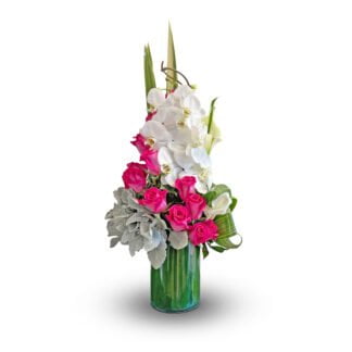 Unification orchids fort lauderdale