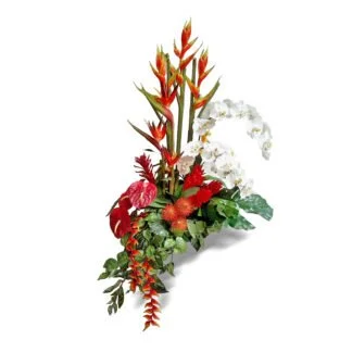 majesty centerpiece orchids fort lauderdale