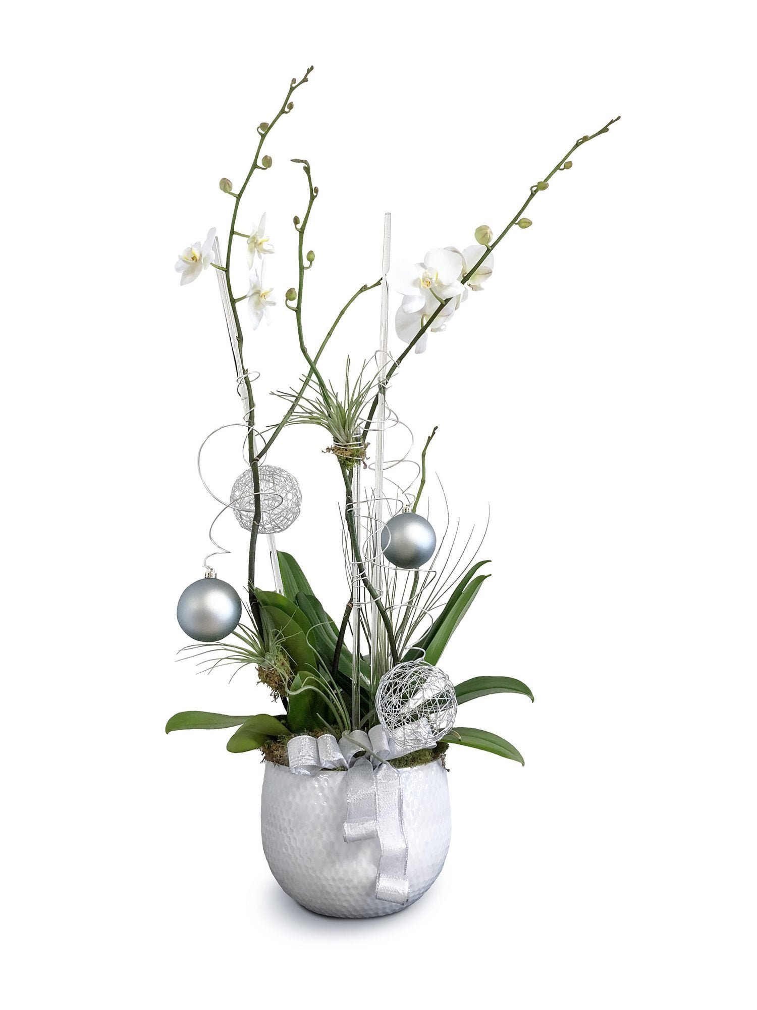 Silver Glow: flower arrangement