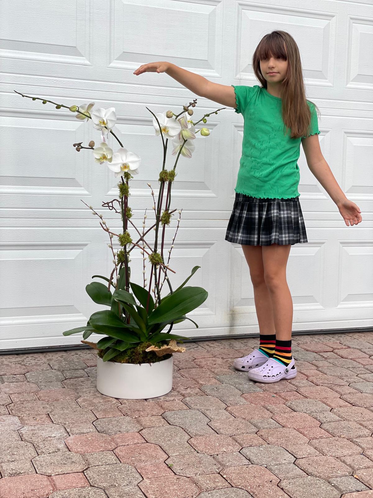 Same Day Orchid Delivery in Fort Lauderdale