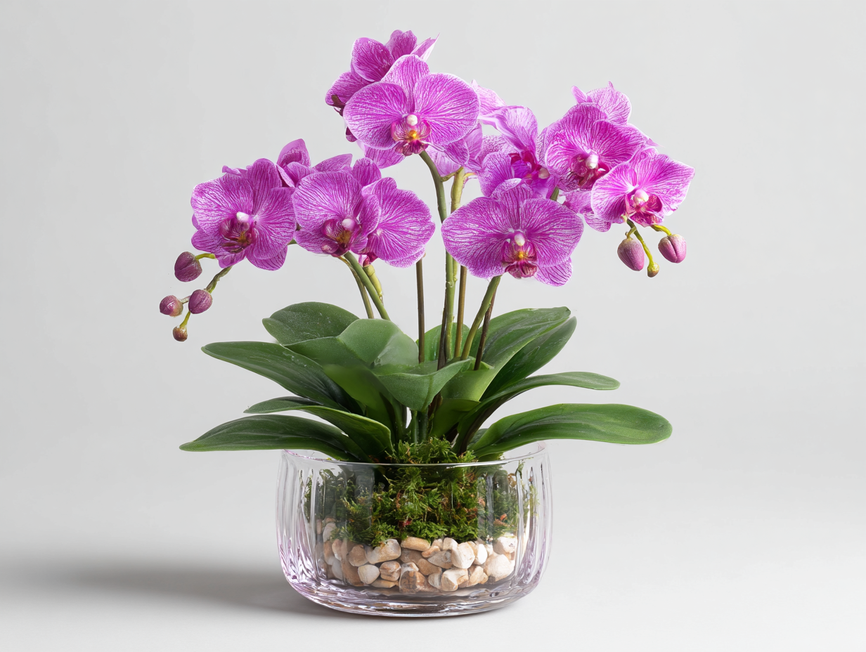 The Art of Orchid Arrangements in Fort Lauderdale