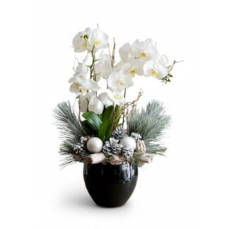 Winter's Grace White Orchid Holiday Arrangement
