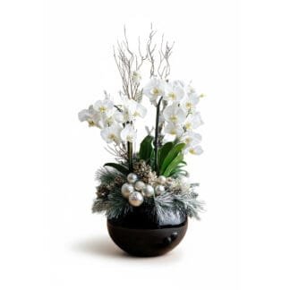Frosted Elegance: White Orchid Winter Arrangement