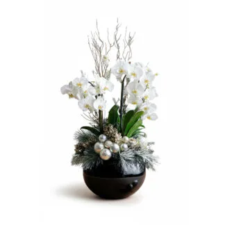 Frosted Elegance: White Orchid Winter Arrangement