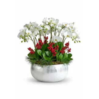 Holiday Radiance: White Orchid & Berry Planter